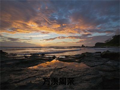 谁不甘心（方羡周茉）全文免费阅读大结局_谁不甘心（方羡周茉）免费在线阅读_笔趣阁