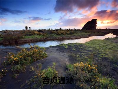 吉贞温泌（巧逞窈窕）全文免费阅读无弹窗大结局_吉贞温泌最新章节列表_笔趣阁(吉贞温泌）