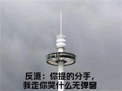 小说反派：你提的分手，我走你哭什么全文阅读-季耀尚小说反派：你提的分手，我走你哭什么大结局