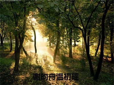 谢昀舟温初瑶（谢昀舟温初瑶）无广告免费阅读-谢昀舟温初瑶小说最后结局如何