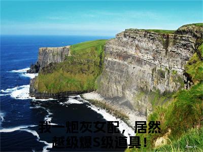 小说我一炮灰女配，居然越级爆S级道具！雾月沈确求书热文免费阅读-我一炮灰女配，居然越级爆S级道具！小说分享全文雾月沈确