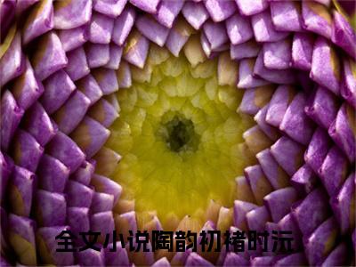 陶韵初褚时沅（陶韵初褚时沅）小说最新章节-陶韵初褚时沅全文免费阅读无弹窗大结局
