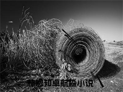 林恩知卓航森全文免费阅读无弹窗大结局_林恩知卓航森章节列表_笔趣阁