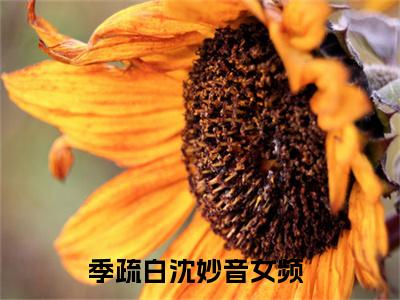 季疏白沈妙音全网首发小说-季疏白沈妙音无广告免费试读