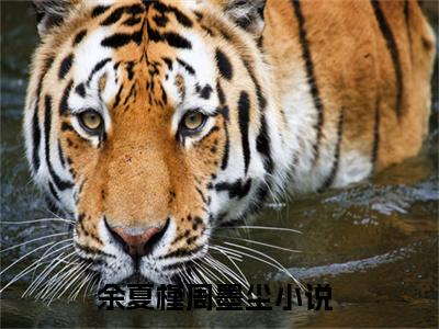 抖音热推余夏槿周墨尘（余夏槿周墨尘）免费小说-余夏槿周墨尘小说完整版阅读