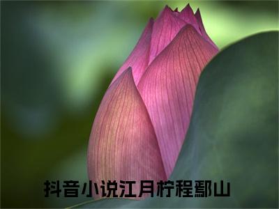 江月柠程鄢山(江月柠程鄢山)全文免费阅读无弹窗大结局_(江月柠程鄢山)江月柠程鄢山全文免费完结版阅读(江月柠程鄢山)
