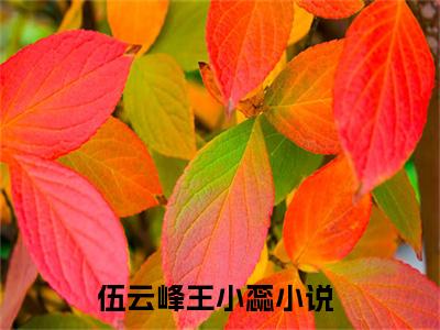 伍云峰王小蕊小说好看吗-伍云峰王小蕊热门小说大结局阅读