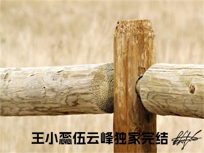 王小蕊伍云峰阅读无弹窗大结局_（王小蕊伍云峰阅读无弹窗）最新章节列表_笔趣阁（王小蕊伍云峰）