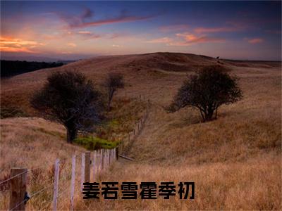 姜若雪霍季初小说名字 姜若雪霍季初在线阅读无删去广告精彩章节手机内在线试读