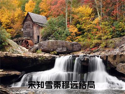 宋知雪秦穆远全集小说已完结版全文章节阅读
