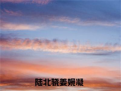 陆北骁姜婉凝豪门小说《陆北骁姜婉凝》最新章阅读-陆北骁姜婉凝小说今日更新