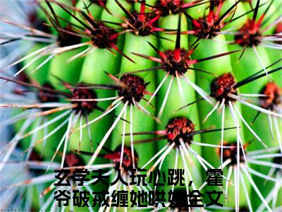玄学夫人玩心跳，霍爷破戒缠她哄她高赞小说（乔筝霍寒年）完结阅读_乔筝霍寒年免费看全文