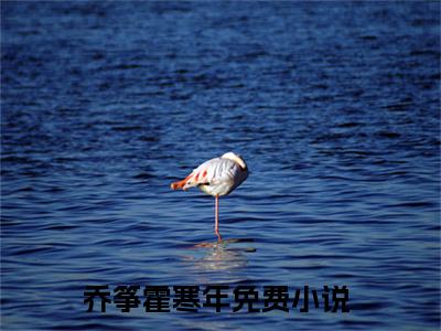 乔筝霍寒年（玄学夫人玩心跳，霍爷破戒缠她哄她）全文免费阅读无弹窗大结局_（玄学夫人玩心跳，霍爷破戒缠她哄她）乔筝霍寒年最新章节列表_笔趣阁（玄学夫人玩心跳，霍爷破戒缠她哄她）