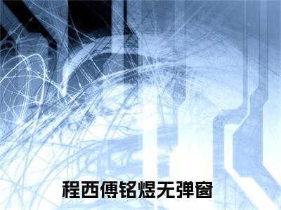 程西傅铭煜小说无弹窗-程西傅铭煜全本免费阅读