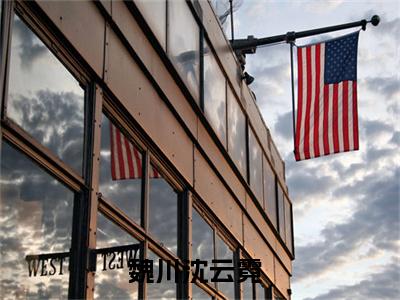 魏川沈云霓（魏川沈云霓）全文免费阅读无弹窗大结局_魏川沈云霓小说全文免费阅读最新章节列表_笔趣阁