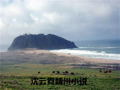 沈云霓魏川完整版最新小说大结局 沈云霓魏川最新章节