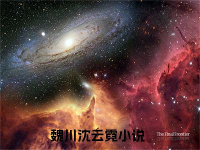 (好书推荐)魏川沈云霓最新章节小说_魏川沈云霓全文阅读