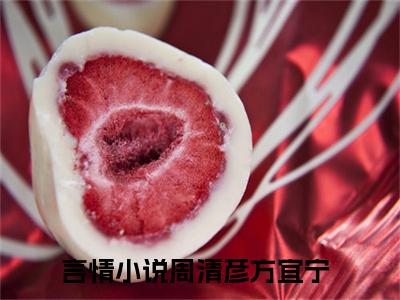 新书热荐周清彦方宜宁全集小说完整版大结局-小说周清彦方宜宁全文完整版免费阅读