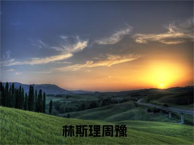 林斯理周豫（林斯理周豫）小说全本完结版免费阅读