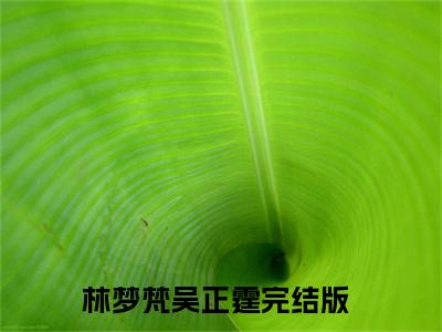林梦梵吴正霆（林梦梵吴正霆）最新章节阅读-热点小说榜单推荐林梦梵吴正霆