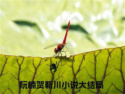 阮楠贺靳川小说热门阅读全文-阮楠贺靳川章节无删减版