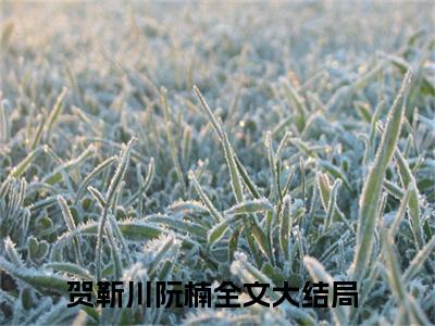 贺靳川阮楠免费小说 贺靳川阮楠在线小说免费阅读目录