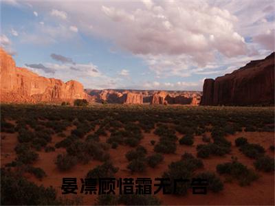 晏凛顾惜霜小说完整版全文免费阅读