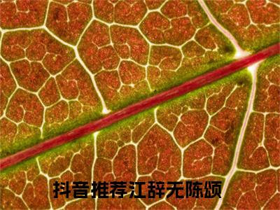 江辞无陈颂全文免费免费阅读无弹窗最新章节列表_笔趣阁（江辞无陈颂全文免费）