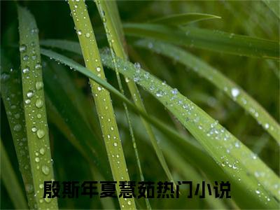 殷斯年夏慧茹（殷斯年夏慧茹）全文免费阅读无弹窗大结局_殷斯年夏慧茹最新章节列表