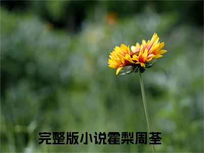 霍梨周荃（霍梨周荃）全文免费阅读无弹窗_霍梨周荃最新小说_笔趣阁（霍梨周荃）