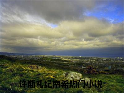 许斯礼纪南希免费阅读无弹窗，许斯礼纪南希小说大结局全文免费阅读