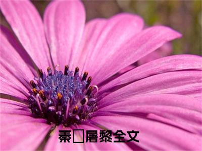 秦彧屠黎小说在哪里可以看-秦彧屠黎在线阅读