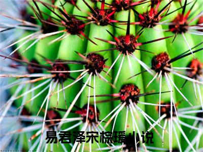 易君泽宋棕瑗推荐免费新书 -易君泽宋棕瑗小说阅读无弹窗
