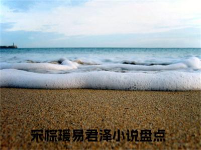 小说完整版宋棕瑗易君泽大结局-宋棕瑗易君泽是什么书《宋棕瑗易君泽》
