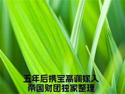 林清语陆司霆（五年后携宝高调嫁入帝国财团）全文免费阅读无弹窗大结局_林清语陆司霆热门小说最新章节阅读