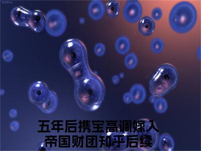 小说五年后携宝高调嫁入帝国财团(陆司霆林清语)免费阅读-小说五年后携宝高调嫁入帝国财团全文在线赏析