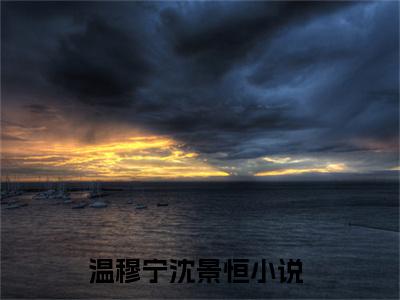 温穆宁沈景恒小说大结局完整版 温穆宁沈景恒免费在线阅读