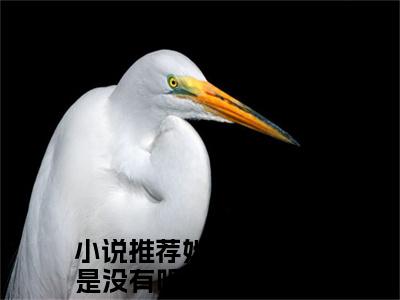 裴尚谦温妤繁（她终究，还是没有听到那个结果）全文免费阅读-裴尚谦温妤繁（她终究，还是没有听到那个结果）全章节完整版在线阅读