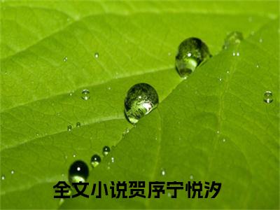 贺序宁悦汐（贺序宁悦汐）全文免费阅读无弹窗大结局