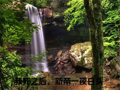 我死之后，新帝一夜白头（夜寒殇苏婳）全文免费阅读无弹窗大结局_（我死之后，新帝一夜白头）我死之后，新帝一夜白头最新章节列表_笔趣阁（我死之后，新帝一夜白头）