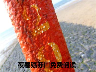 我死之后，新帝一夜白头免费小说-（我死之后，新帝一夜白头）夜寒殇苏婳完结版在线阅读