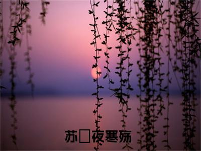 我死之后，新帝一夜白头小说叫什么名字（苏婳夜寒殇）完整版大结局-我死之后，新帝一夜白头小说在线阅读
