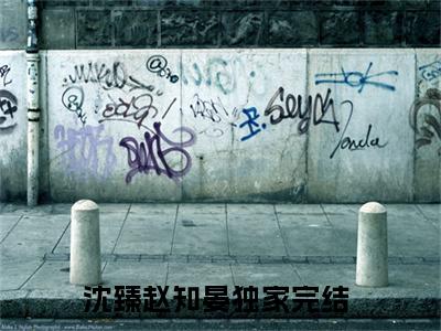 沈臻赵知晏美文欣赏完整版 沈臻赵知晏小说章节试读