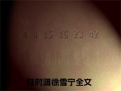 精选好书陆时渊徐雪宁无弹窗免费阅读-（陆时渊徐雪宁）完整版全文在线赏析