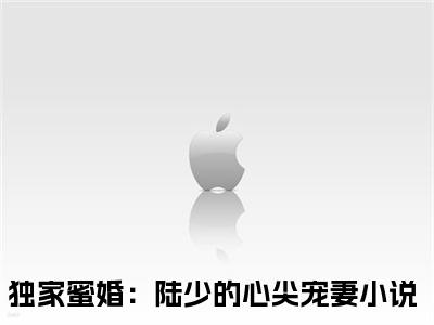 独家蜜婚：陆少的心尖宠妻抖音最新热点小说，陆琛莫暖小说最新章节阅读