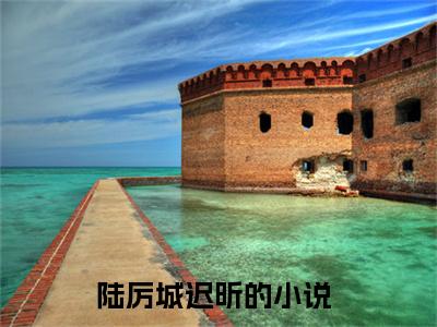 陆厉城迟昕全文阅读大结局，陆厉城迟昕推荐免费新书