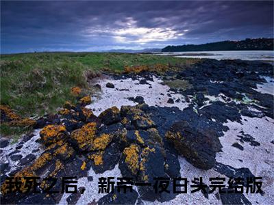 苏婳夜寒殇全文免费阅读大结局_苏婳夜寒殇最新章节列表_笔趣阁（我死之后，新帝一夜白头）
