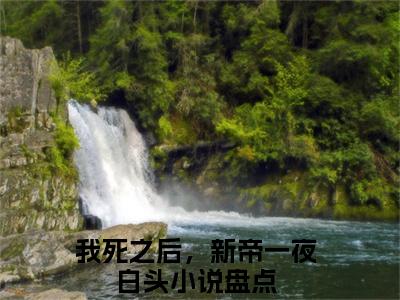 我死之后，新帝一夜白头小说讲的是什么-夜寒殇苏婳精彩章节目录观看