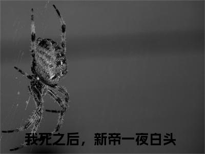 精选小说苏婳夜寒殇（我死之后，新帝一夜白头）全本阅读_我死之后，新帝一夜白头免费阅读_笔趣阁