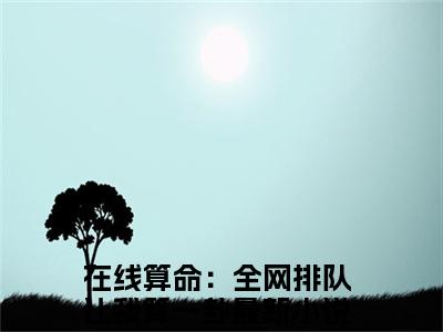 在线算命：全网排队让我算一卦（林木木）小说免费阅读-在线算命：全网排队让我算一卦（林木木）已完结全集大结局小说